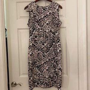 Leopard Print Calvin Klein Sheath Dress size 12